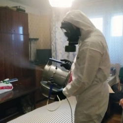 Дезинфекция от клопов в Льялово