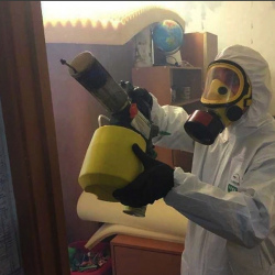 Уничтожение клопов в квартире. Льялово
